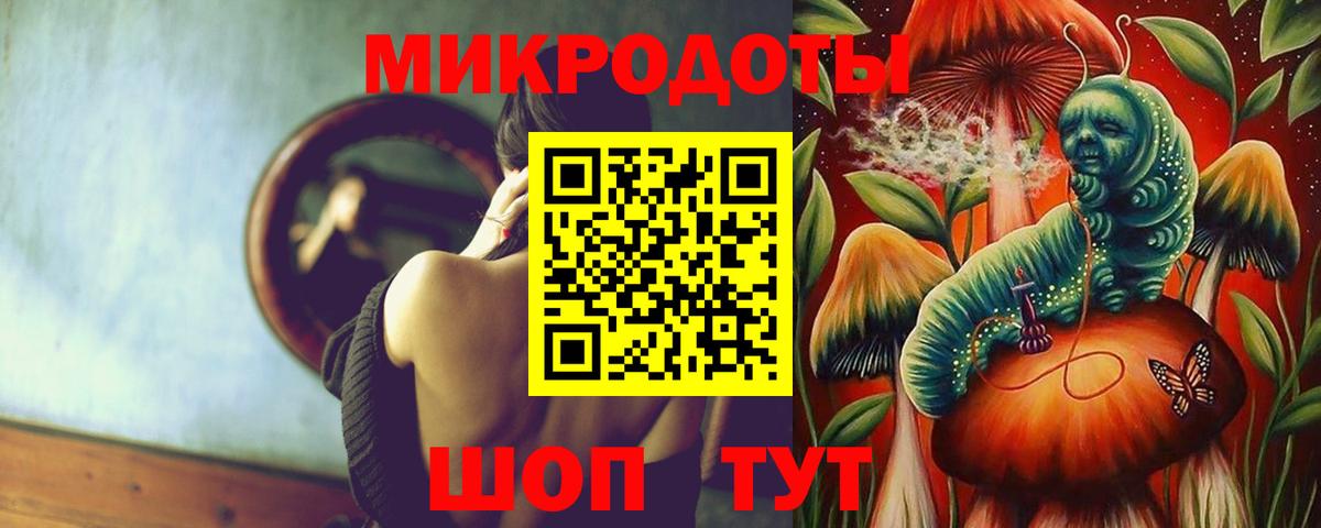 Псилоцибиновые грибы мухоморы Казань